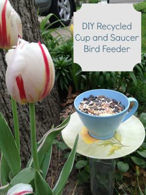 Craft for Kids Bird Feeder