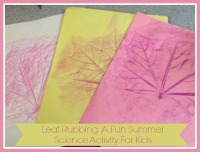 Leaf Rubbing