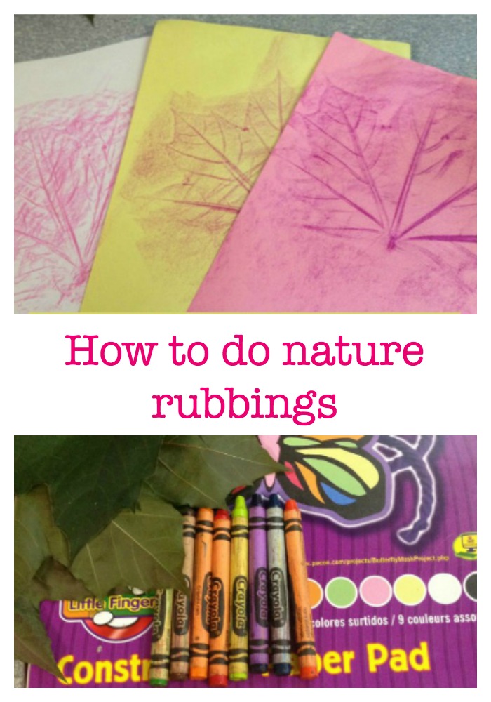 Nature rubbings are an excellent way to document the items you found and forever brand them onto paper in a fun and colorful way. This is such a fun summer science activity for kids!