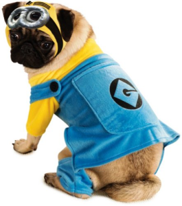 Minion Dog Costume Best Despicable Me Costumes For Halloween