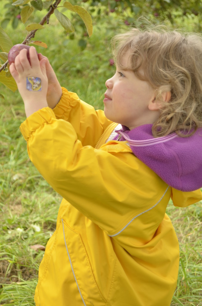 fall activity for kids child apple picking