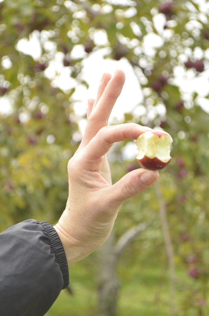 fall activity for kids smallest apple