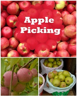 Apple Picking Fall Activity for Kids