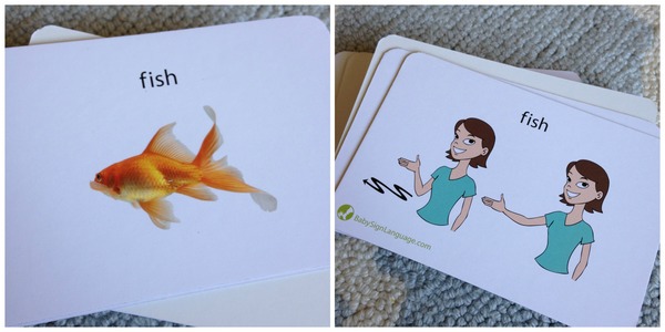 Teach Your Baby to Communicate with Baby Sign Language. Read our Full Baby Sign Language Review 