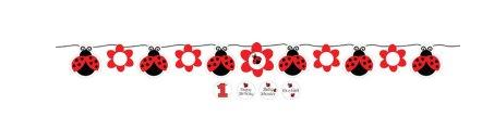 Ladybug Fancy Ribbon Banner: Ladybug First Birthday Party Decorations for Your Little Lady!