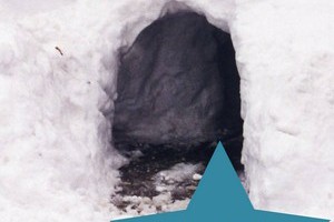 Building a snow fort is one of the funnest winter activities for kids. Check out our tips on how to build the ultimate snow fort that your family will love!