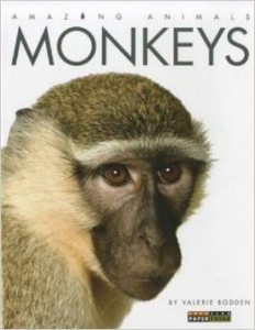 Amazing Animals Monkeys: Must Have Monkey Kingdom Books
