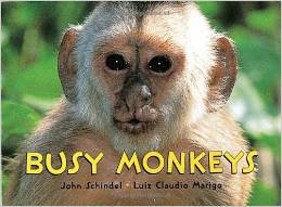 Busy Monkeys A Busy Book: Must Have Monkey Kingdom Books