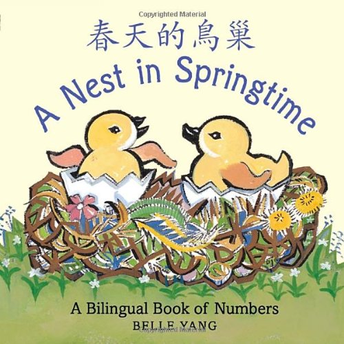 Nest in Springtime Spring Board Books for Babies