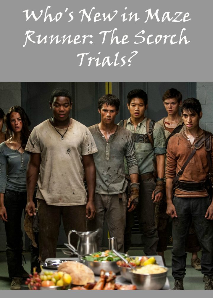Who are the new kids of Maze Runner: The Scorch Trials? Check out the latest addition to the cast and see how they enhance the overall plot of the film!