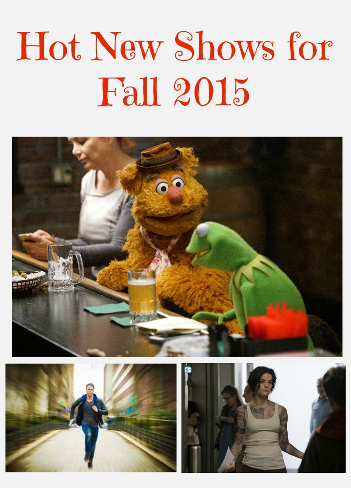 Looking for hot new shows to fill up those gaps on your DVR? Check out the most anticipated new fall TV shows for 2015!