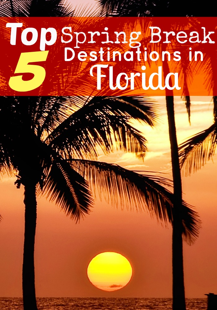 Sunshine, sandy beaches, and spring break without Daytona Beach? Check out our top 5 Spring Break Destinations in Florida!