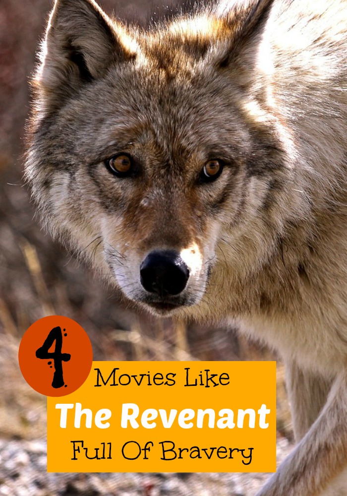 If you can't get enough of the Oscar-nominated movie The Revenant, you need to see our list of movies like The Revenant. Let the movie night begin!