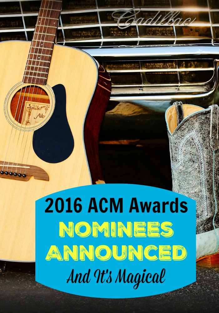 Only the best country music makes it to the 2016 ACM Awards. We have the list of swoon-worthy county nominees before you watch!