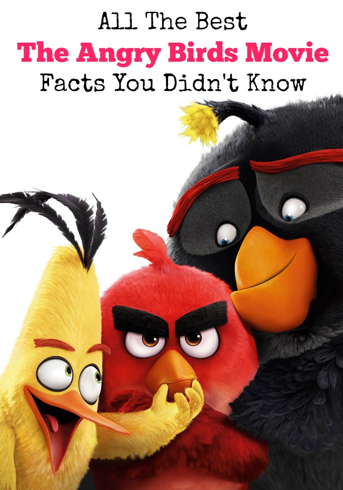 Think you know all of The Angry Birds movie facts? Do you know why the new birds suddenly have wings? Which of The Angry Birds are not angry? Find out now!