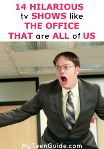 shows on netflix like the office
