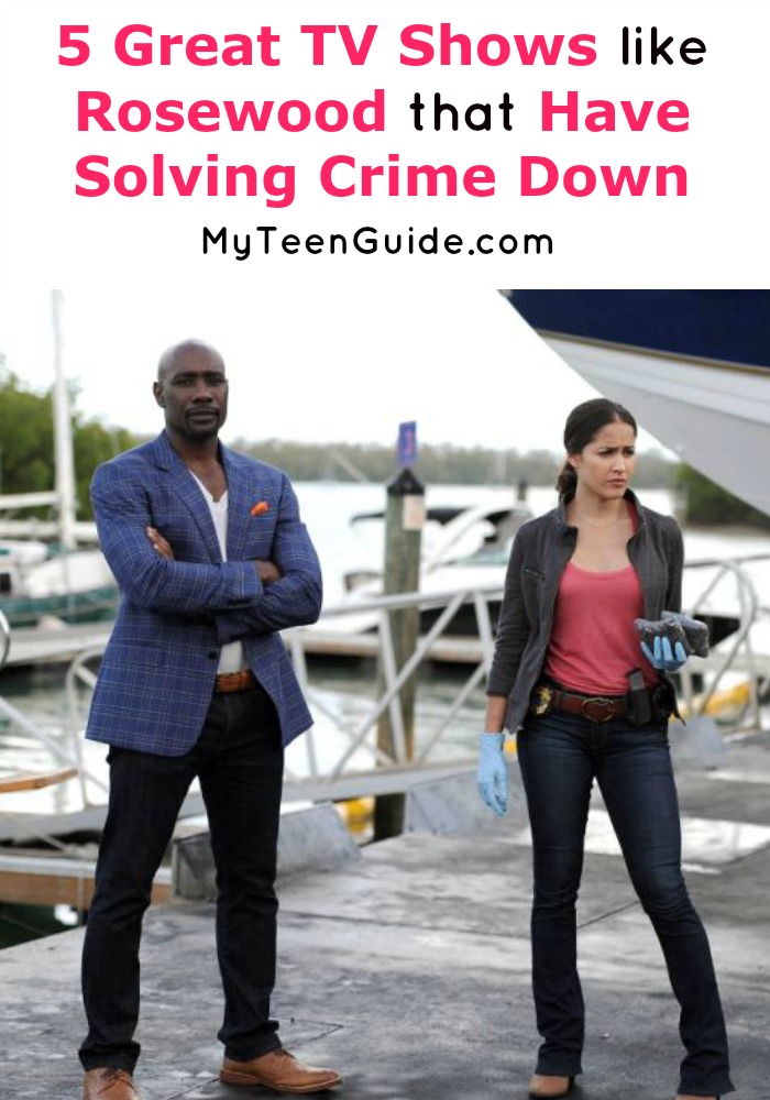  Lies, tricks, and cons! You have to see these shows like Rosewood where the crime keeps coming but the law enforcement is sharper.