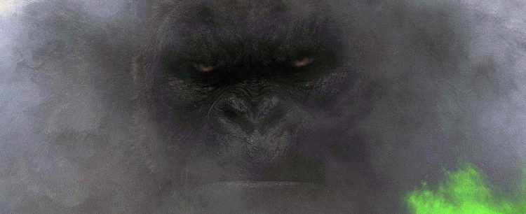 Find out everything you need to know about Hollywood’s largest ape with our Kong Skull Island movie trivia! Check it out!