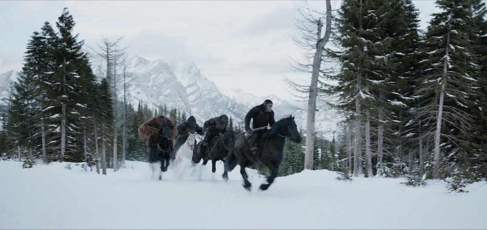 Get your fill of all the War for the Planet of the Apes movie trivia you need to know with these 7 fun facts! Check them out before the movie hits theaters this summer!