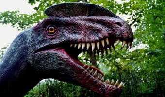 Looking for amazing dinosaur movies like Jurassic World: Fallen Kingdom? We’ve got you covered! Check out 15 flicks you'll enjoy!