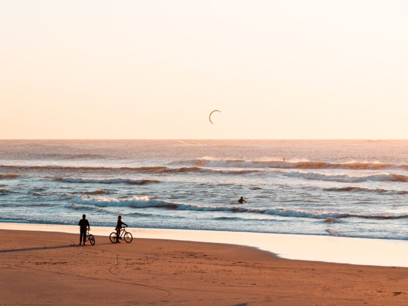 people walking on beach during daytime